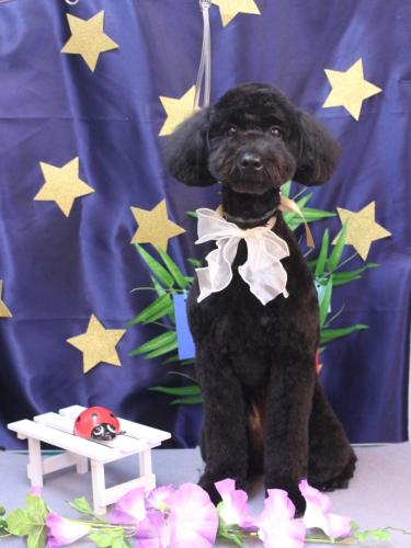 20230707アロちゃん